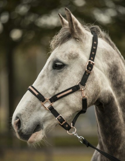 Недоуздок Lami-Cell Sparkling  40135