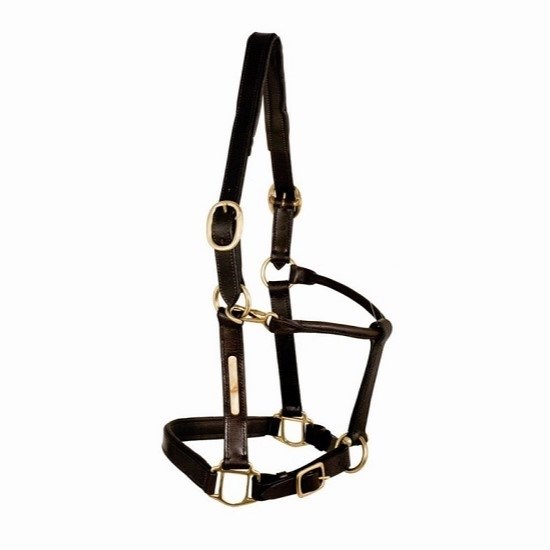 Недоуздок кожа Tattini  40037