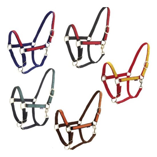 Недоуздок Daslo Roma нейлоновый  40041