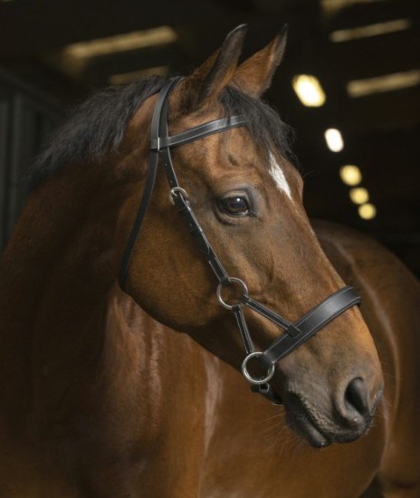 Сайд пулл Norton 24133