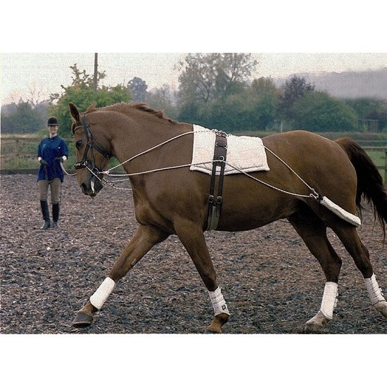 Шлея Пессоа тренировочная система Daslo 24024