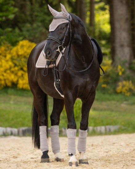 Комплект: вальтрап универсальный, бинты и ушки Covalliero SS25  15176