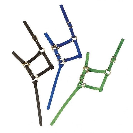 Недоуздок для жеребят Licol 40067