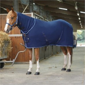 {{photo.Alt || photo.Description || 'Попона Riding World  флисовая с капором '}}