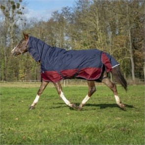 {{photo.Alt || photo.Description || 'Попона Tyrex 1200 D дождевая с капором'}}