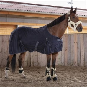 {{photo.Alt || photo.Description || 'Попона сушильная Cool Dry'}}