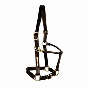 Недоуздок кожа Tattini  40037