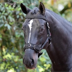 {{photo.Alt || photo.Description || 'Капцунг Kerbl'}}