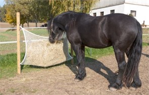 {{photo.Alt || photo.Description || 'Рептух Медленная кормушка 160х100 см'}}