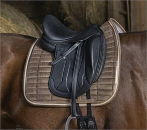 {{photo.Alt || photo.Description || 'Вальтрап MOSAIQUE вельвет выездковый '}}