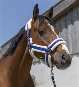 {{photo.Alt || photo.Description || 'Недоуздок Cosy с мехом'}}