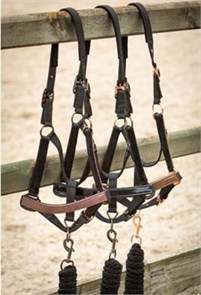 {{photo.Alt || photo.Description || 'Недоуздок Metallic II с чумбуром'}}