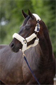 {{photo.Alt || photo.Description || 'Недоуздок SuperSoft с мехом'}}