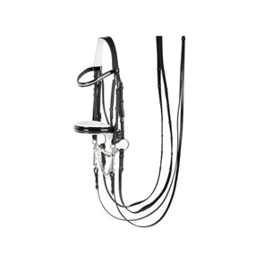 {{photo.Alt || photo.Description || 'Оголовье Chique мундштучное'}}