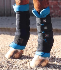 {{photo.Alt || photo.Description || 'Ногавки магнитные Magni-Teque Premier Equine'}}