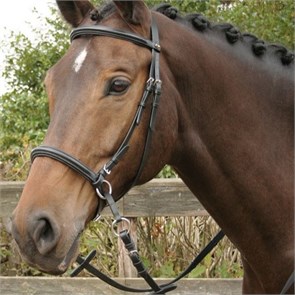 {{photo.Alt || photo.Description || 'Уздечка Кука безтрензельная с поводом'}}