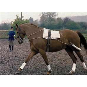 {{photo.Alt || photo.Description || 'Шлея Пессоа тренировочная система Daslo'}}