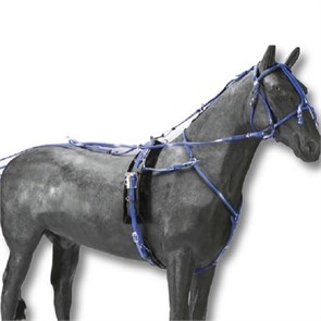 {{photo.Alt || photo.Description || 'Упряжь беговая на защелках Daslo'}}