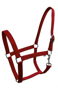 {{photo.Alt || photo.Description || 'Недоуздок LeatherArt нейлоновый'}}