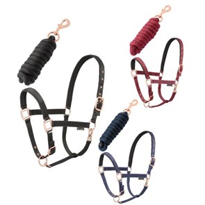 {{photo.Alt || photo.Description || 'Недоуздок Daslo Gold с чумбуром'}}