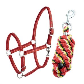 {{photo.Alt || photo.Description || 'Недоуздок Daslo с чумбуром в сумочке'}}