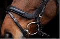 Оголовье Covalliero Anatomic с регулируемым затылочным ремнем 20035