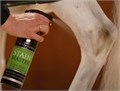Отбеливатель для шерсти Stain Master 500 мл 80650